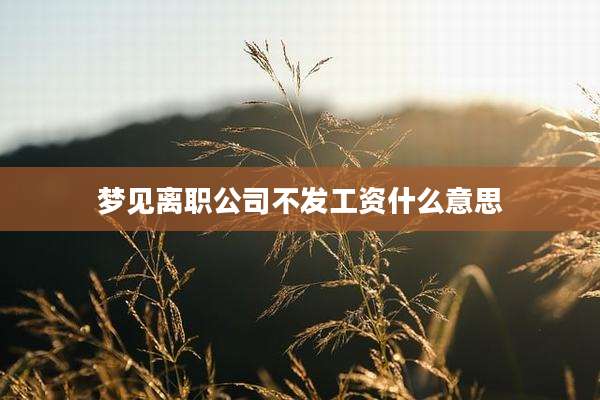 梦见离职公司不发工资什么意思