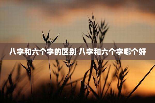 八字和六个字的区别 八字和六个字哪个好