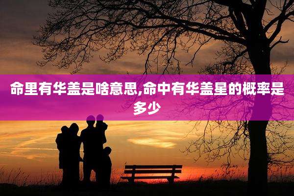 命里有华盖是啥意思,命中有华盖星的概率是多少