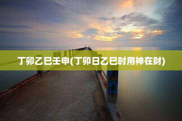 丁卯乙巳壬申(丁卯日乙巳时用神在财)