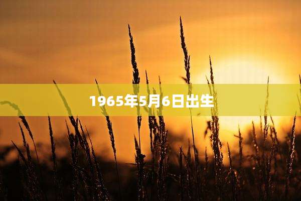 1965年5月6日出生