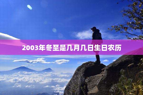 2003年冬至是几月几日生日农历