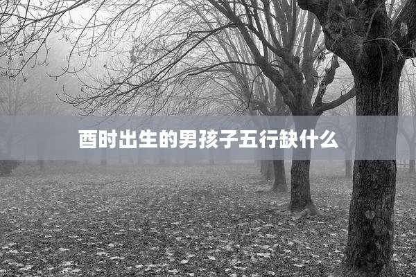 酉时出生的男孩子五行缺什么