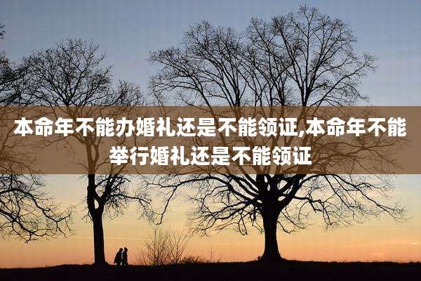 本命年不能办婚礼还是不能领证,本命年不能举行婚礼还是不能领证