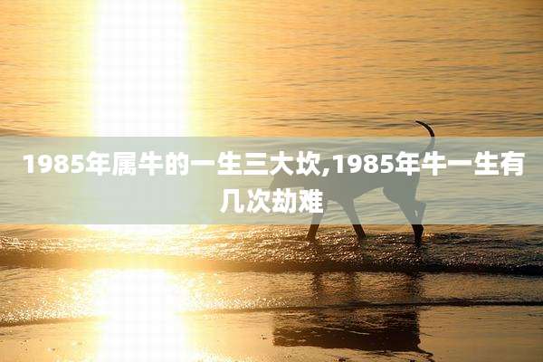 1985年属牛的一生三大坎,1985年牛一生有几次劫难