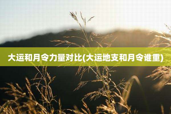 大运和月令力量对比(大运地支和月令谁重)
