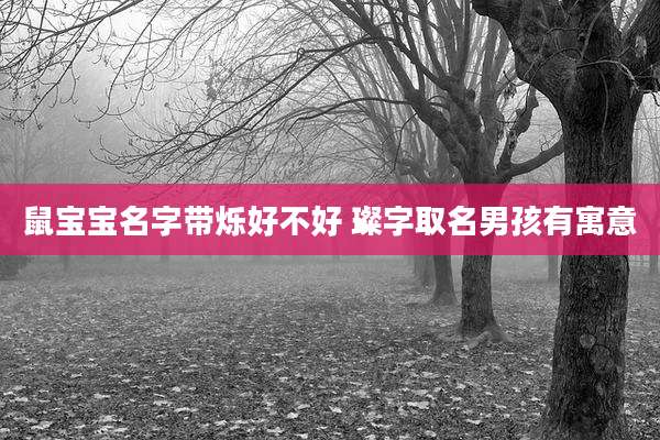 鼠宝宝名字带烁好不好 璨字取名男孩有寓意