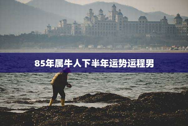 85年属牛人下半年运势运程男