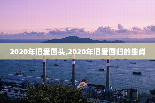 2020年旧爱回头,2020年旧爱回归的生肖
