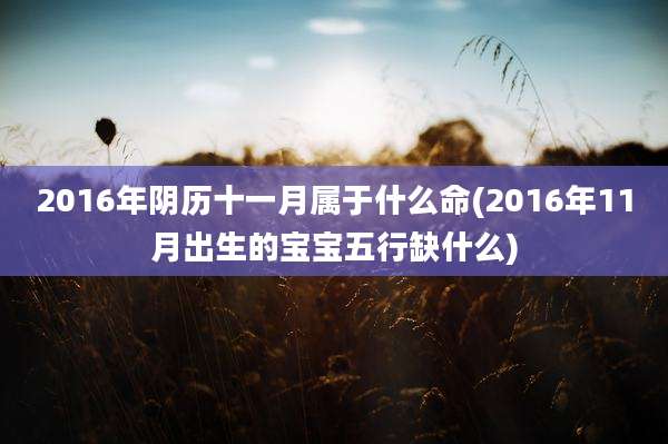 2016年阴历十一月属于什么命(2016年11月出生的宝宝五行缺什么)