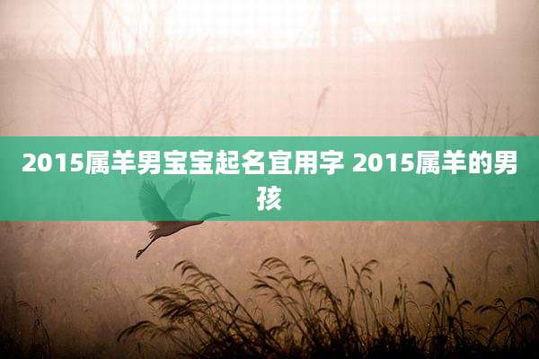 2015属羊男宝宝起名宜用字 2015属羊的男孩