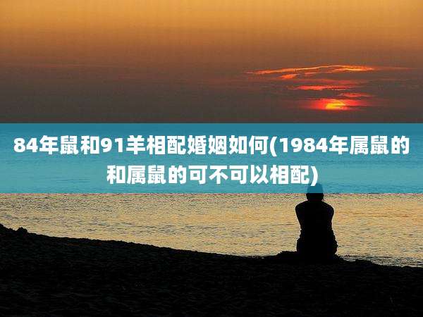 84年鼠和91羊相配婚姻如何(1984年属鼠的和属鼠的可不可以相配)