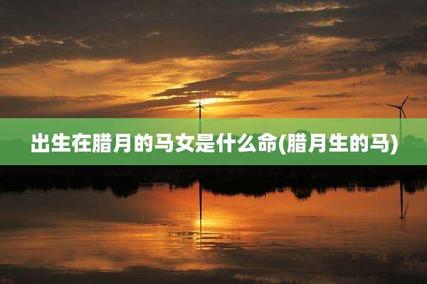 出生在腊月的马女是什么命(腊月生的马)