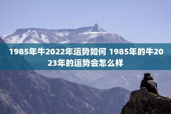 1985年牛2022年运势如何 1985年的牛2023年的运势会怎么样