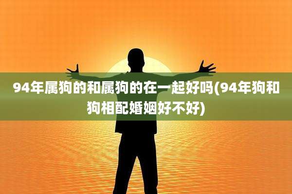 94年属狗的和属狗的在一起好吗(94年狗和狗相配婚姻好不好)