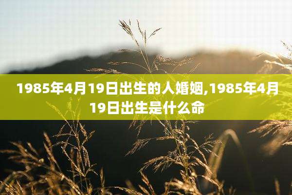 1985年4月19日出生的人婚姻,1985年4月19日出生是什么命