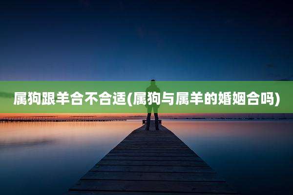 属狗跟羊合不合适(属狗与属羊的婚姻合吗)