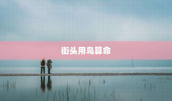 街头用鸟算命