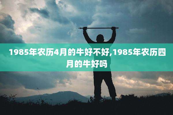 1985年农历4月的牛好不好,1985年农历四月的牛好吗