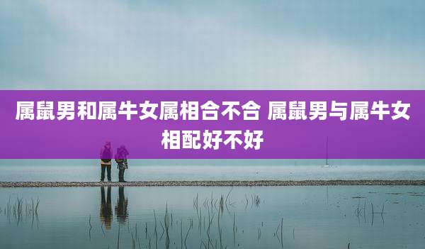 属鼠男和属牛女属相合不合 属鼠男与属牛女相配好不好