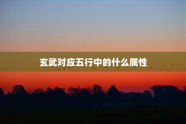 玄武对应五行中的什么属性