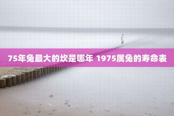 75年兔最大的坎是哪年 1975属兔的寿命表
