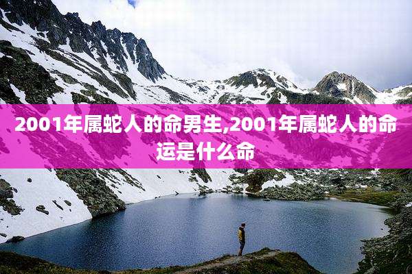 2001年属蛇人的命男生,2001年属蛇人的命运是什么命