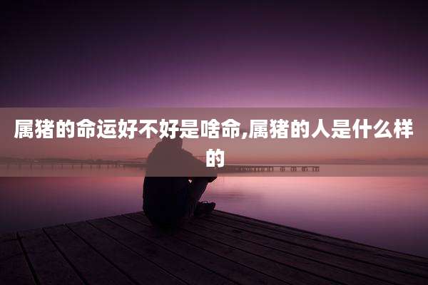 属猪的命运好不好是啥命,属猪的人是什么样的
