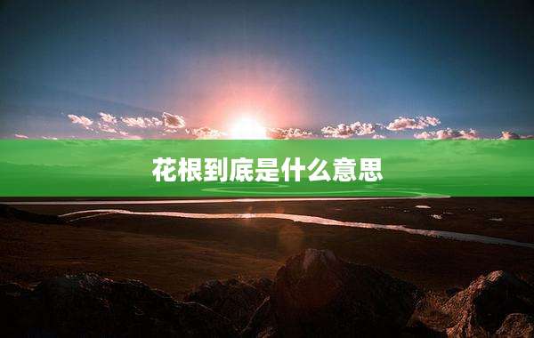 花根到底是什么意思