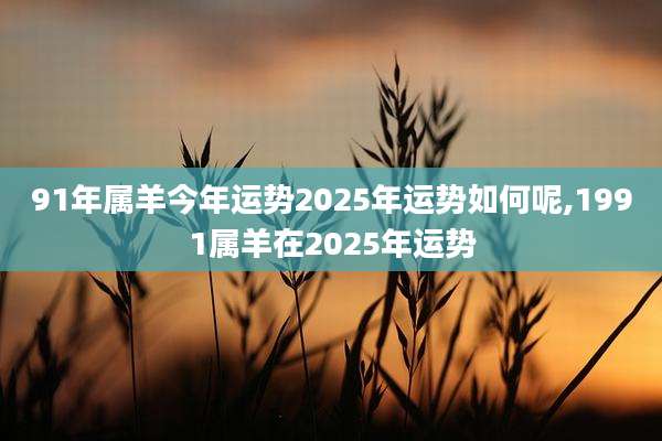 91年属羊今年运势2025年运势如何呢,1991属羊在2025年运势