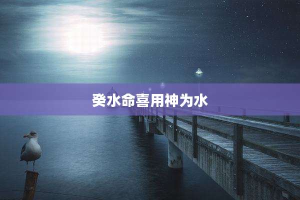 癸水命喜用神为水