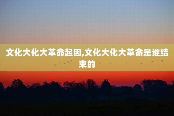 文化大化大革命起因,文化大化大革命是谁结束的