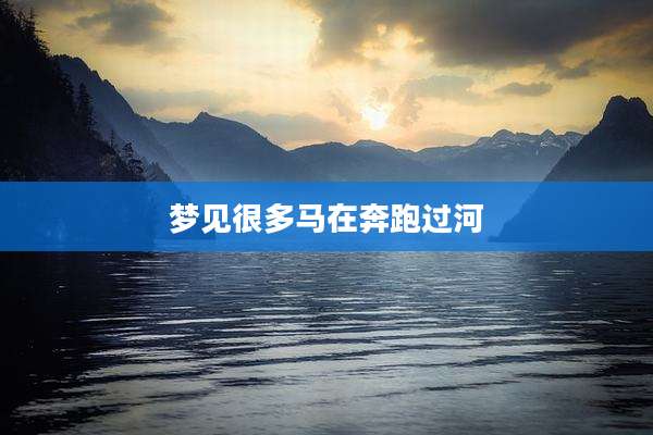 梦见很多马在奔跑过河