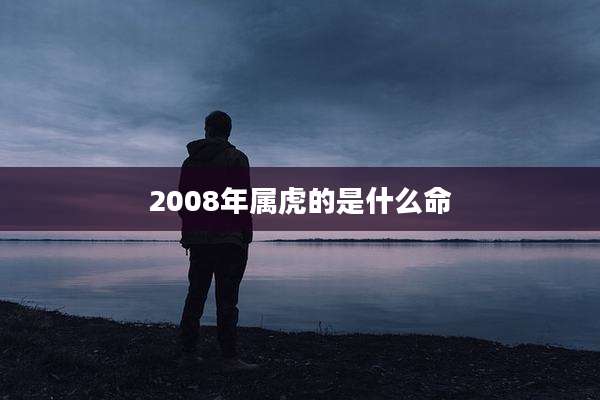 2008年属虎的是什么命
