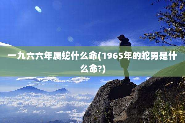 一九六六年属蛇什么命(1965年的蛇男是什么命?)