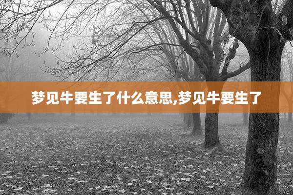 梦见牛要生了什么意思,梦见牛要生了