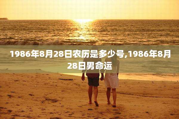 1986年8月28日农历是多少号,1986年8月28日男命运