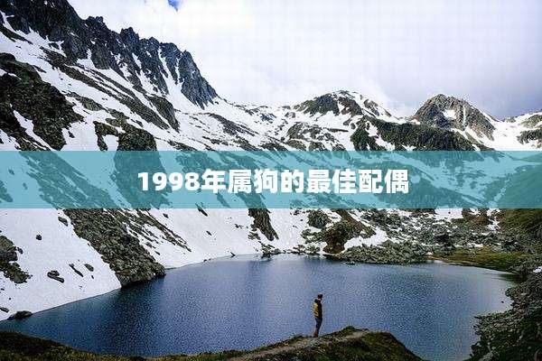 1998年属狗的最佳配偶