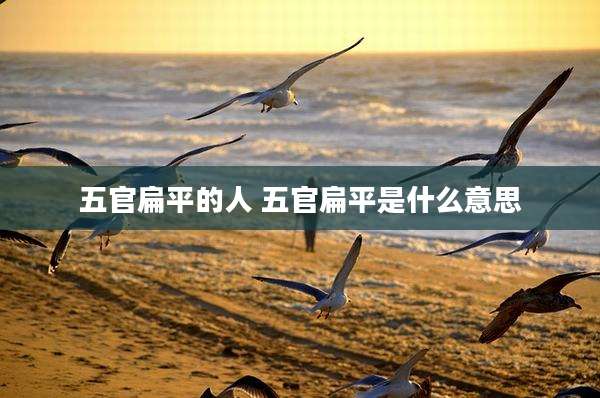 五官扁平的人 五官扁平是什么意思