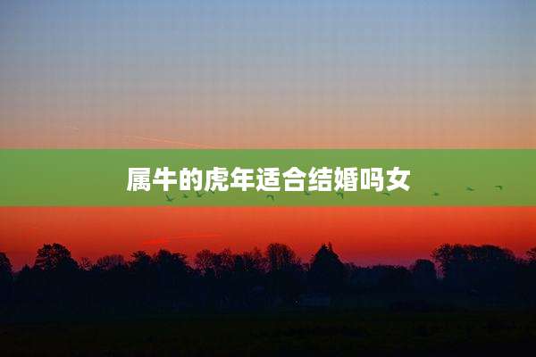 属牛的虎年适合结婚吗女