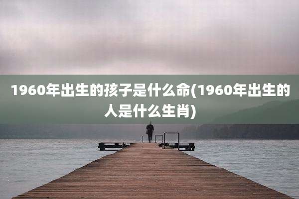 1960年出生的孩子是什么命(1960年出生的人是什么生肖)