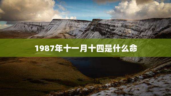 1987年十一月十四是什么命