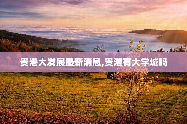 贵港大发展最新消息,贵港有大学城吗