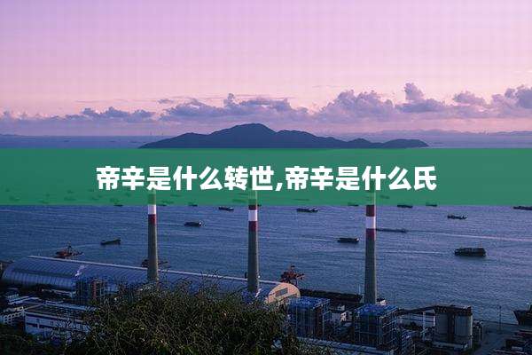 帝辛是什么转世,帝辛是什么氏