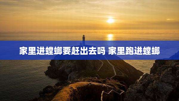 家里进螳螂要赶出去吗 家里跑进螳螂