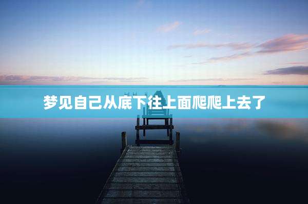 梦见自己从底下往上面爬爬上去了