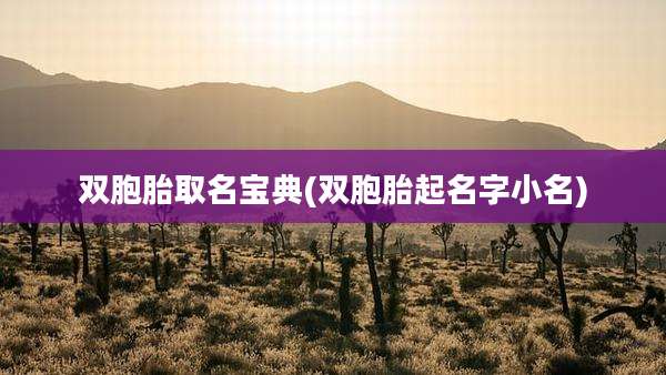 双胞胎取名宝典(双胞胎起名字小名)