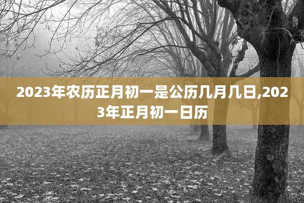 2023年农历正月初一是公历几月几日,2023年正月初一日历