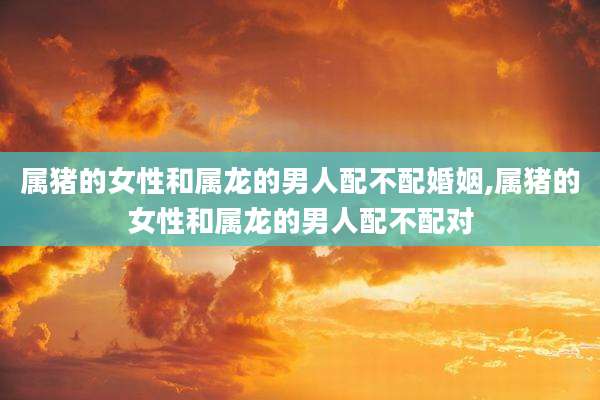属猪的女性和属龙的男人配不配婚姻,属猪的女性和属龙的男人配不配对