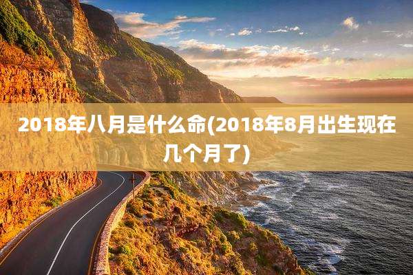 2018年八月是什么命(2018年8月出生现在几个月了)